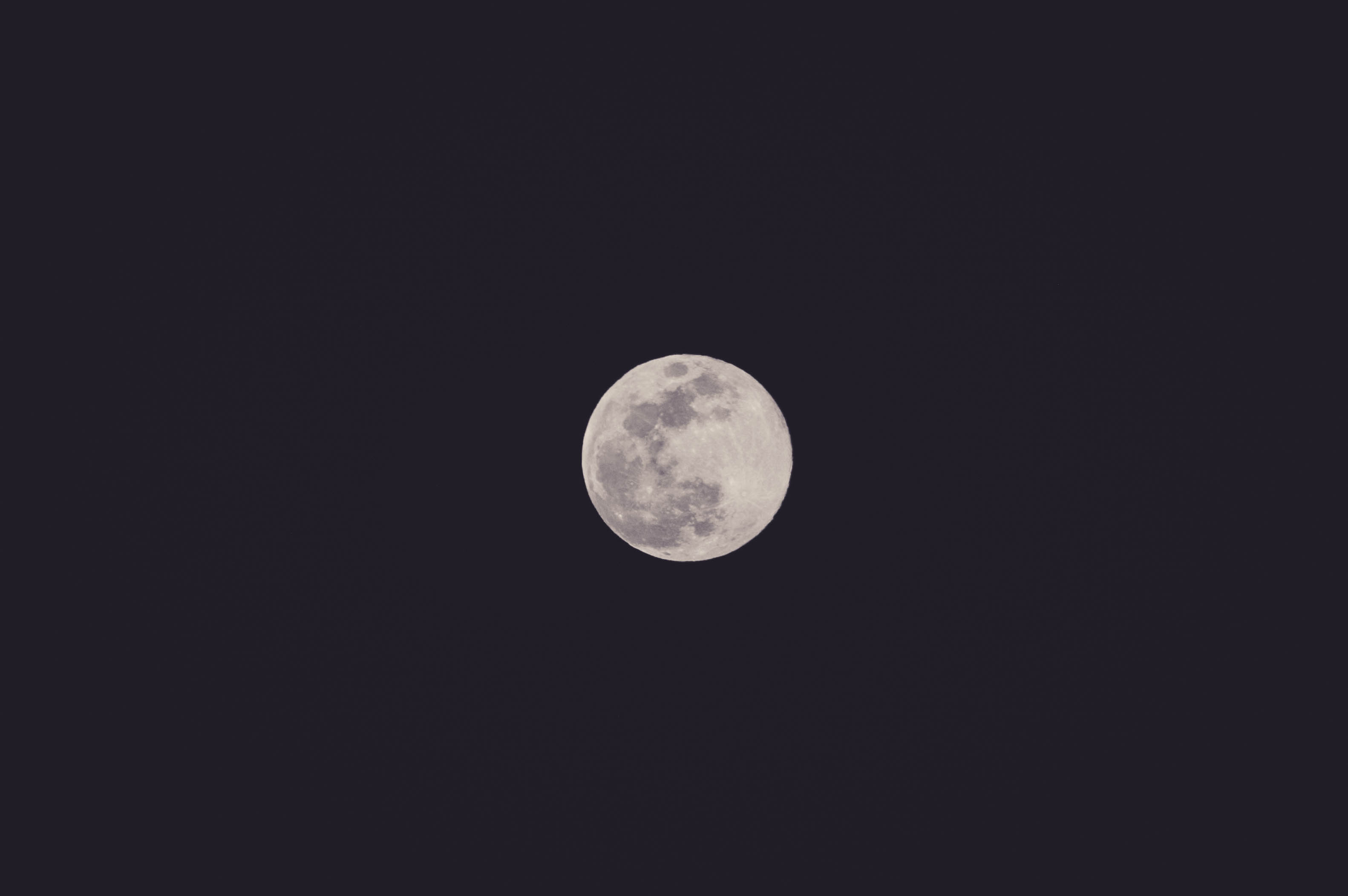 By the Light of the Full Moon: A Foreigner’s Perspective of a Moon Viewing Party
