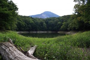 One of the many ponds at Juniko on the northwest edge of Shirakami Sanchi Photo by: Reid Bartholomew