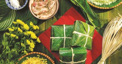 Tet: The New Year Magic of Vietnam Tet: The New Year Magic of Vietnam