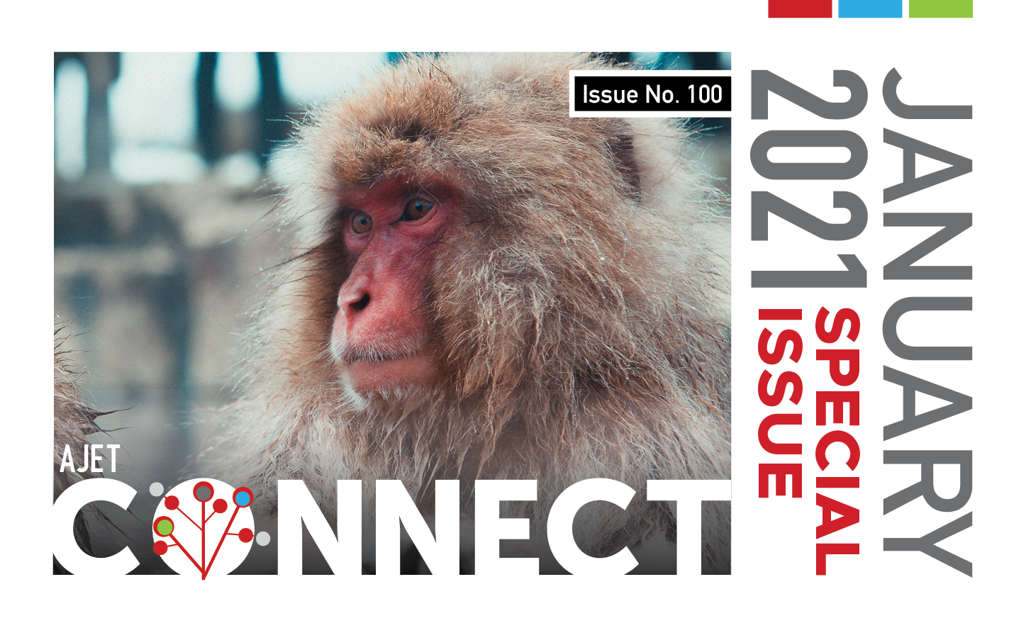 Connect Magazine Japan #100 January 2021