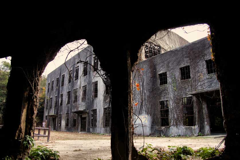 A glimpse at the ruins of a poison gas factory.