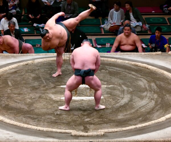A GUIDE TO THE HISTORY OF SUMO