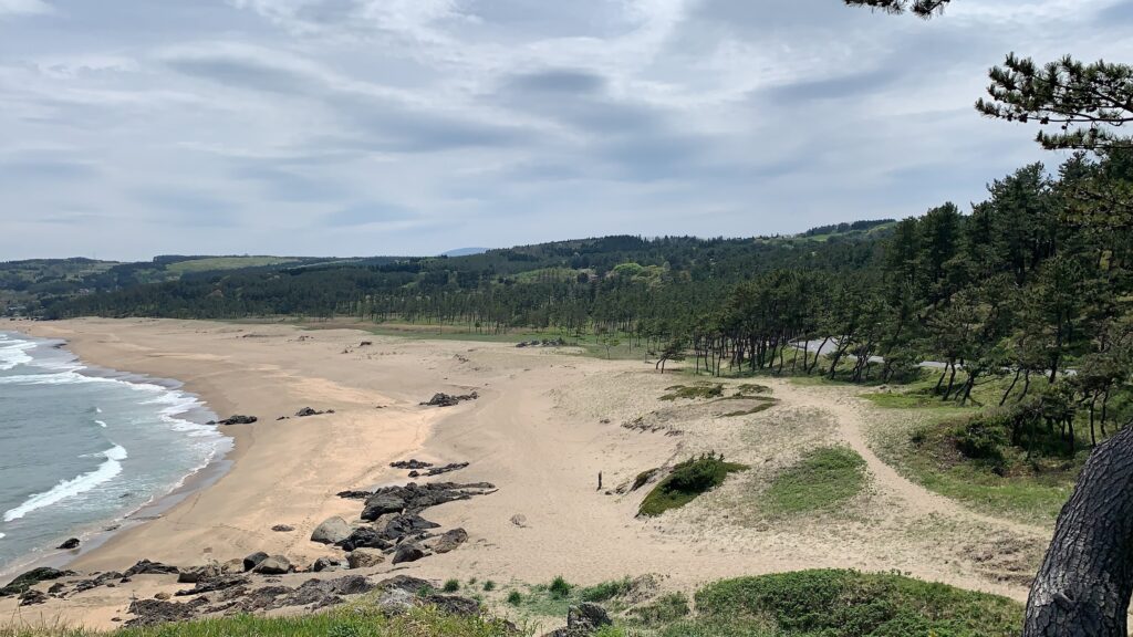 A beautiful sandy beach along the running course.