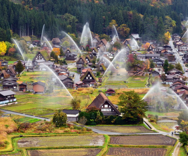 Hunting the Autumn Leaves of Gifu