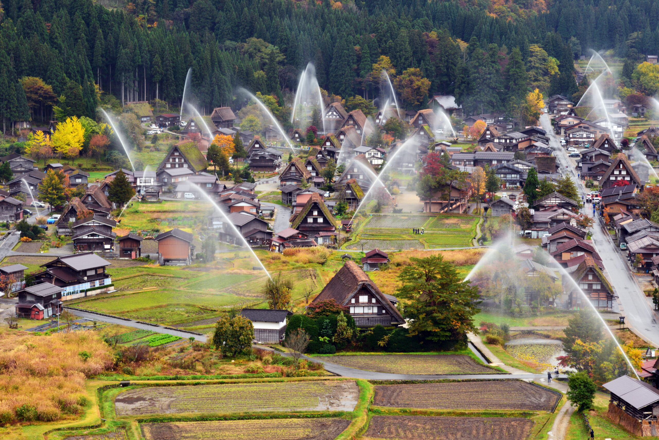 Hunting the Autumn Leaves of Gifu