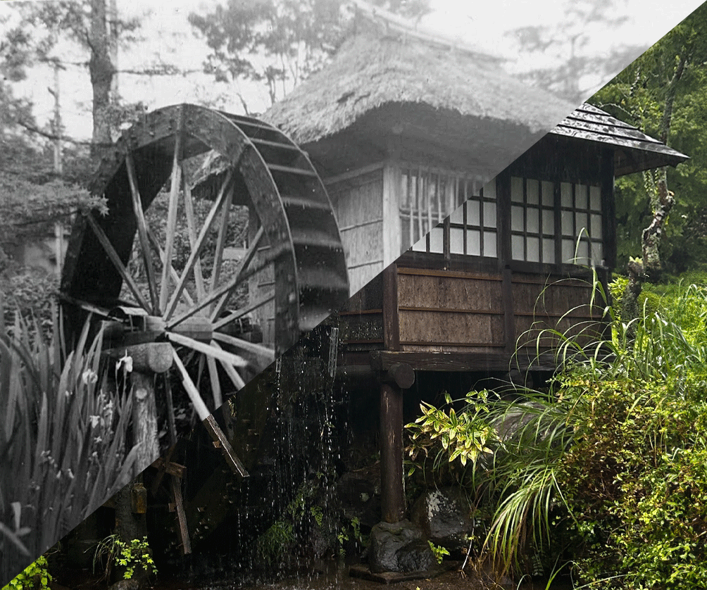 From Idaho to Hakone: